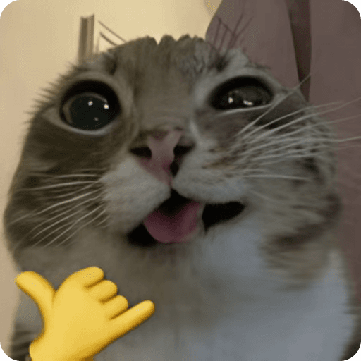 Котик с секретной скидкой